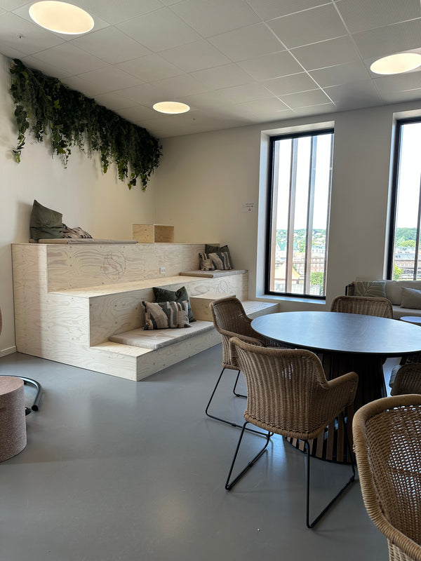 Creating new environments for learning and creativity
